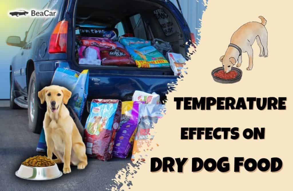 can dry dog food go bad in a hot car